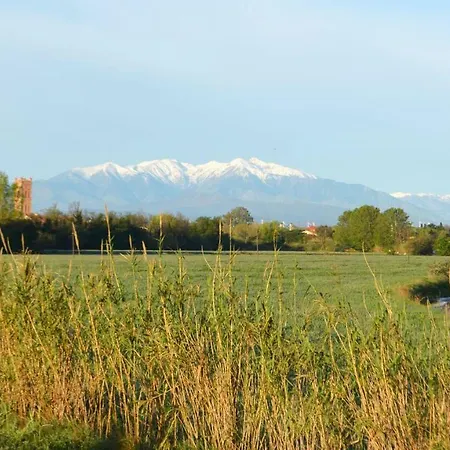 Ma D'hotes A Rivesaltes